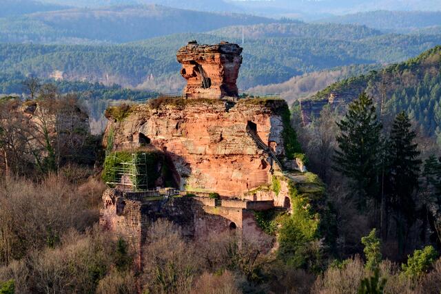 14 Burgruine Drachenfels bei Busenberg | Foto: Kugler Michael