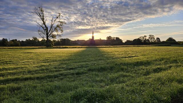 11 Sonnenaufgang im Jockgrimer Woog | Foto: Andre Westfeld