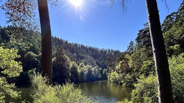 8 Isenachweiher bei Bad Dürkheim | Foto: Jessica Hammel