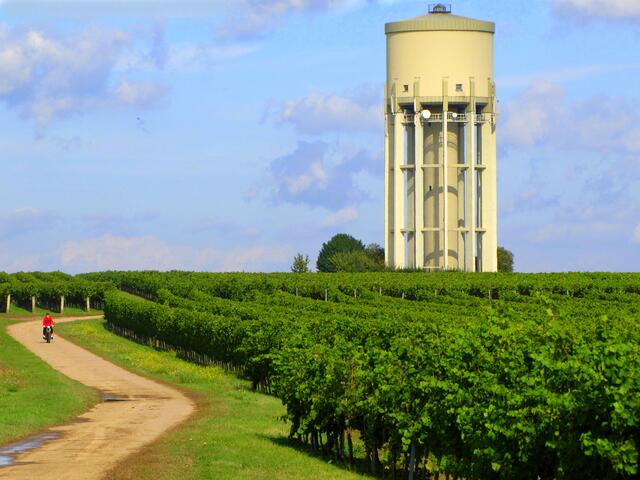 12 Weg zum Wasserturm Duttweiler | Foto: Gerhard Syring-Lingenfelder