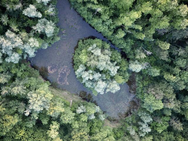 14 Vogelperspektive von der Speyrer Umgebung - Heißluftballonfahrt im Mai.
Gebucht hatte ich eine Sonnenuntergangsfahrt für den 60. Geburtstag meines Vaters.
Die Komposition des Bildes erinnert mich an die so vielseitigen Seiten der Natur um uns herum. | Foto: Alisa Herbst