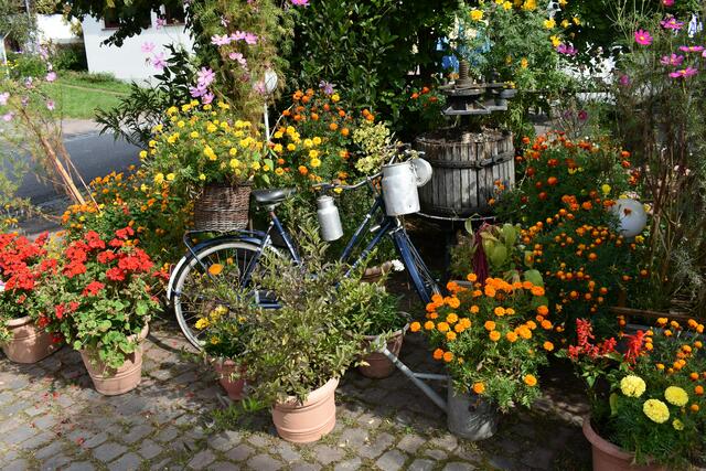 24 In Rumbach unterwegs. | Foto: Peter Mees