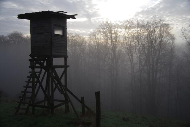 17 Morgendämmerung bei Kettrichhof | Foto: Horst Stefan List