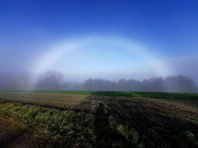 6 Nebelbogen auf der Sickinger Höhe bei Lambsborn | Foto: Heike Rothhaar
