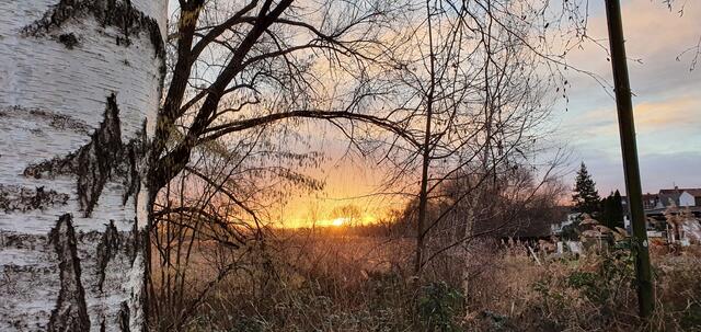 30 Abendspaziergang in Neuburg am Rhein | Foto: Iris Hutzel