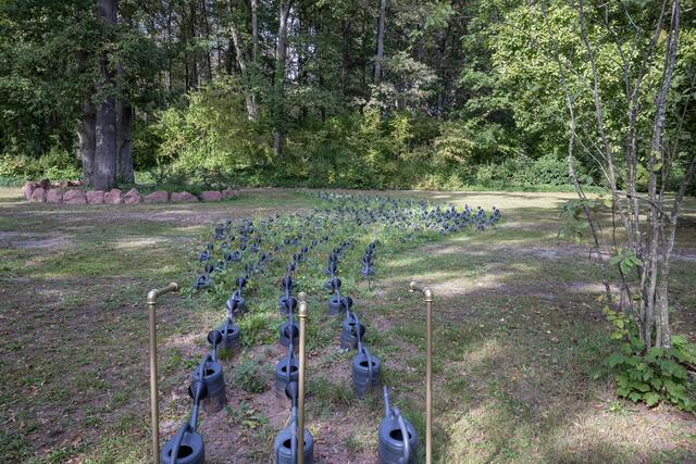 4 blaue Gießkannen, Kunstprojekt von Thomas Brenner auf dem Hauptfriedhof Kaiserslautern | Foto: Elmer Geissler
