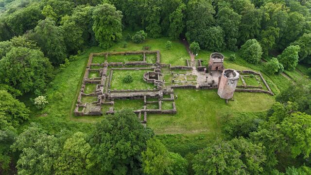 12 Klosterruine St. Michael: Ruine eines historischen Klosters bei Heidelberg | Foto: Pawlowski, Joerg