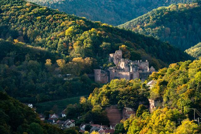 31 Motiv: Hardenburg bei Bad Dürkheim. 
Aufnahme von der Klosterruine Limburg in Bad Dürkheim. | Foto: Ralf Först