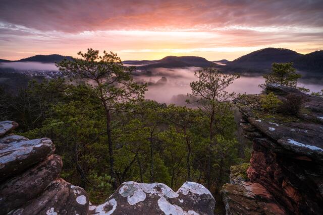 24 Morgenröte über Dahner Felsenland, Pfälzerwald | Foto: Marvin Jülch