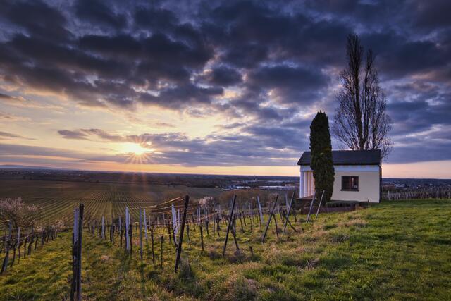 25 Sonnentempel Edenkoben: Ein klasse Sonnenaufgang im März.  | Foto: Alexander Böshans