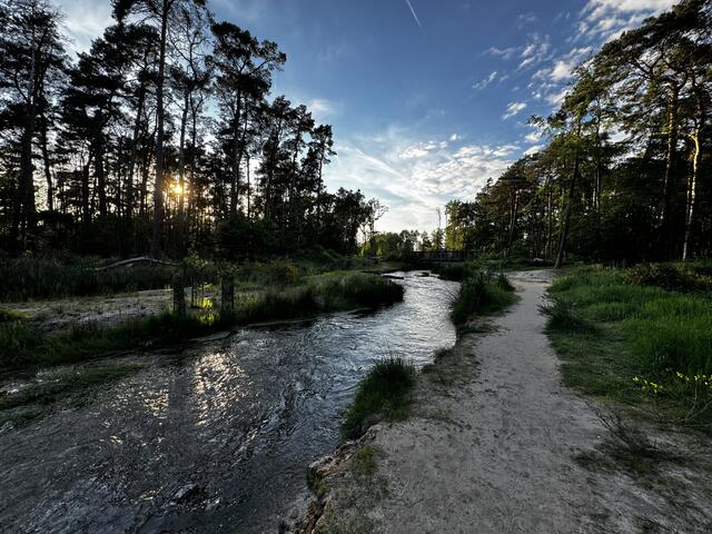 32 Renaturiertes Flussbett der Rehbachverlegung, Haßloch | Foto: Zofia Przyklenk