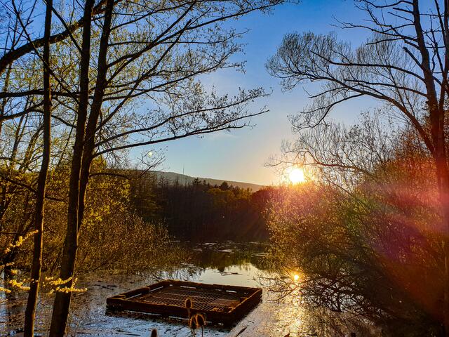 24 Sonnenuntergang Richtung Dannenfels | Foto: Ina Bauer