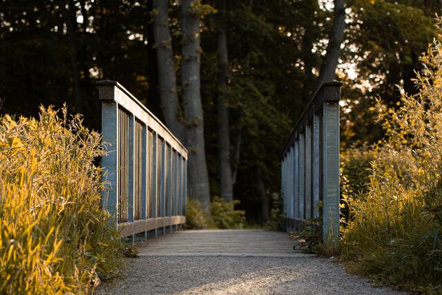 37 Brücke im Haßlocher Wald | Foto: Zofia Przyklenk