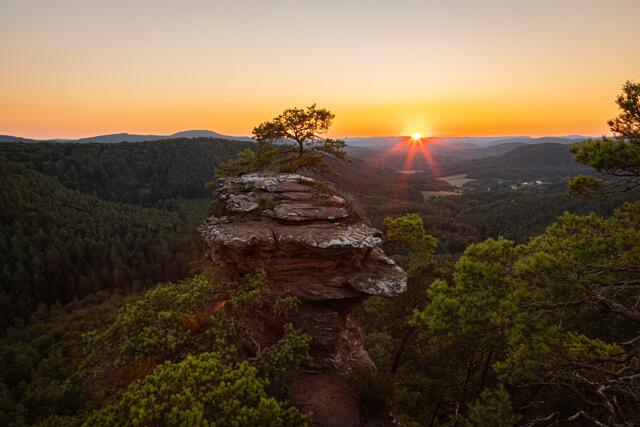 11 Sonnenuntergang am Buchkammerfels im Dahner Felsenland | Foto: Jonas Kullmann