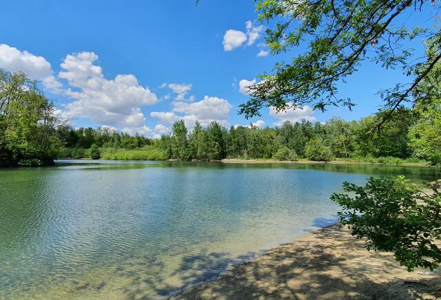 51 Frühling am Ellerstadter Weiher  | Foto: Claudia Dormeyer