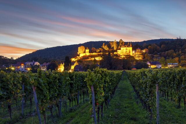 43 Langzeit Belichtung vom Haardter Schloss | Foto: Alexander Böshans