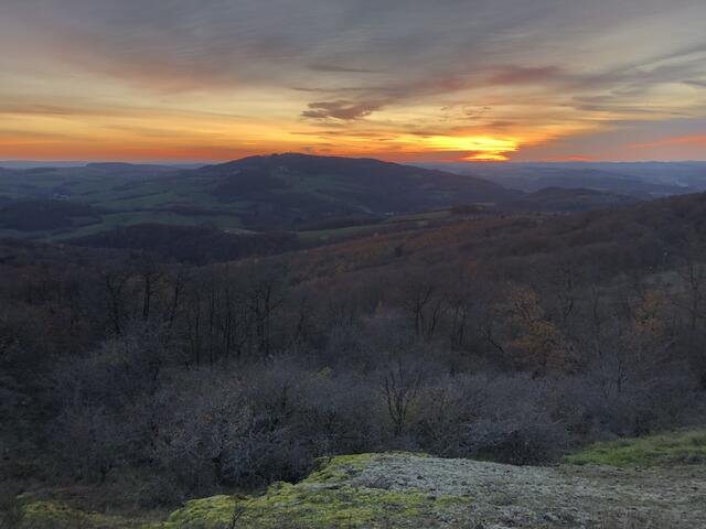 3 Blick auf den Potzberg vom Schneeweiderhof | Foto: Melanie Braun