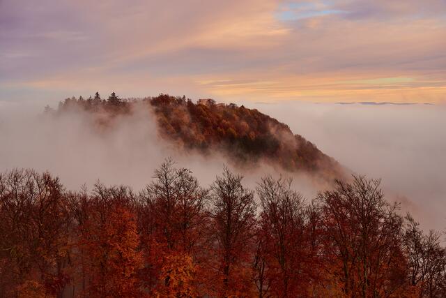 33 Blick zur Wegelnburg  | Foto: Florian Bauer 
