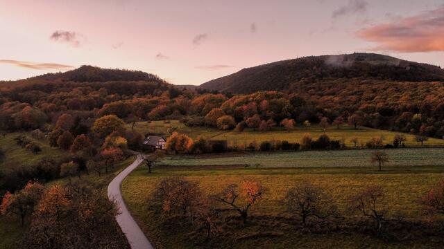 25 Oktober am Donnersberg  | Foto: Aline Breitenbruch