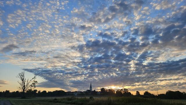 10 Morgenstimmung im Feld vor Jockgrim | Foto: Andre Westfeld