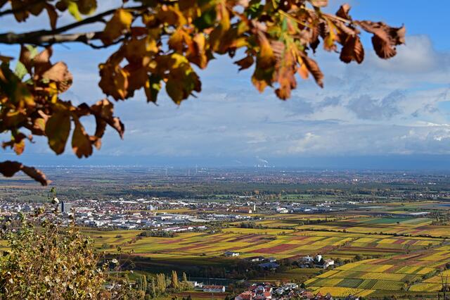 18 Blick vom Hambacher Schloss in die Rheinebene | Foto: Ilona Schäfer