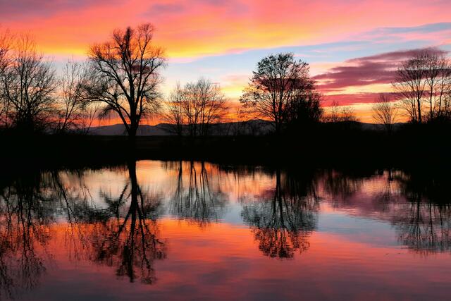 36 Die ganze Farbpalette der Natur - Abendhimmel am Rohrlachweiher in Fußgönheim | Foto: Torsten Kerbeck
