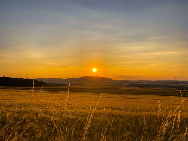 17 Sonnenuntergang am donnersberg | Foto: Jennifer Gressmann