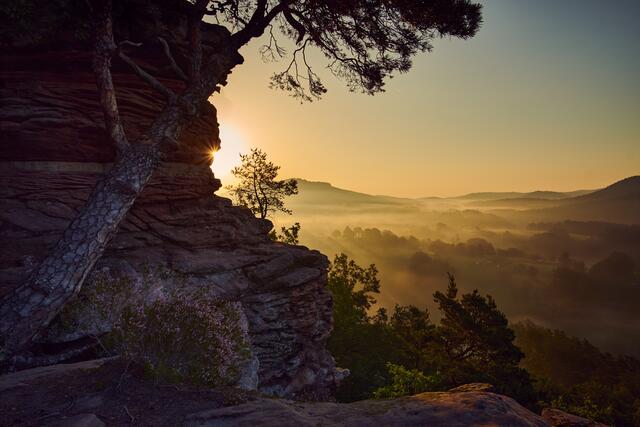 39 Sprinzelfelsen Sonnenaufgang | Foto: Florian Bauer 