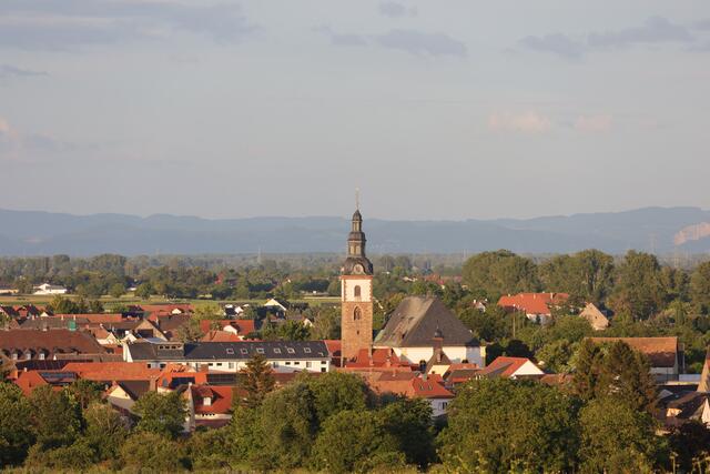 18 Die Kirche und ein Teil vom schönen Örtchen Dirmstein | Foto: Kirsten Löffler