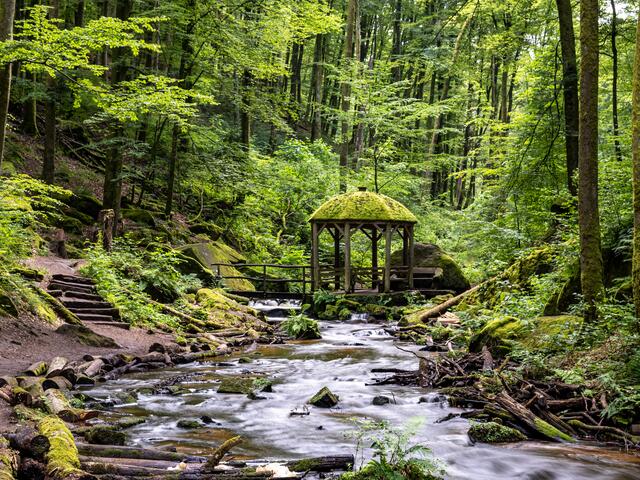 1 Pavillon in der Karlstarlschlucht bei Trippstadt.  | Foto: Alexander Kramb
