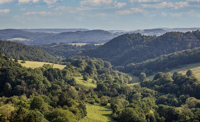 7 schöne Aussicht
aufgenommen auf der Höhe der Burg Ruine Falkenstein | Foto: Elmer Geissler