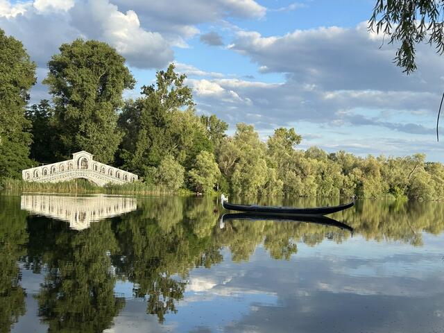 30 Bobenheim-Roxheim 
Binnendamm
Am 11. Juni 2024 | Foto: Diana Mayer