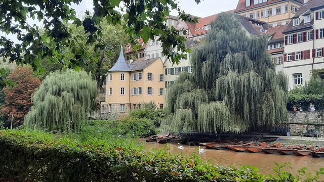 Foto: Kristin Hätterich