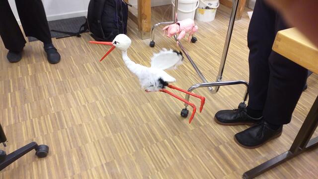 Kalif Storch trifft auf Glücksschweinchen | Foto: privat