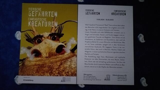 Ausstellung im Heidelberger Völkerkundemuseum | Foto: privat