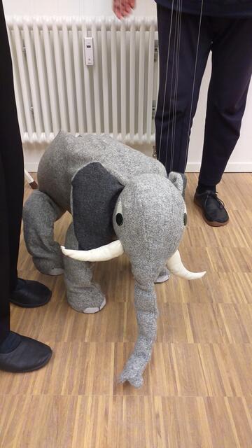 Schwergewichtige Vertreter | Foto: privat