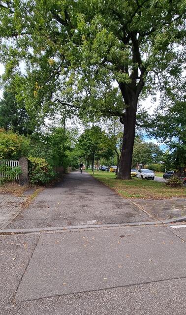 Die auf beiden Seiten der Knielinger Allee verlaufenden Wege werden heute schon - trotz bestehender Radstraße - als Radweg genutzt! | Foto: www.jowapress.de