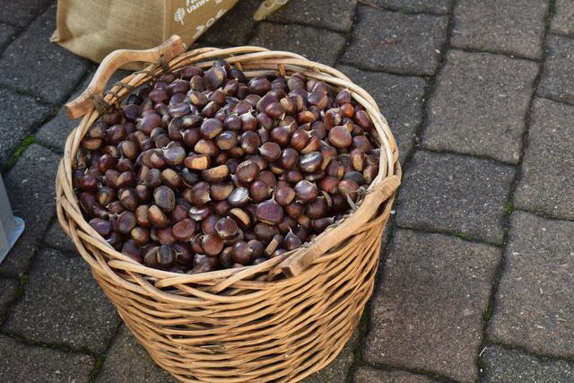 Kastanien satt | Foto: Jürgen Bender