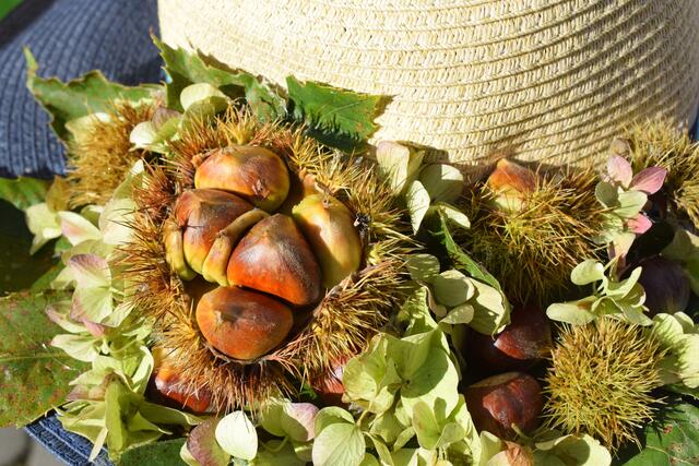 Foto: Jürgen Bender