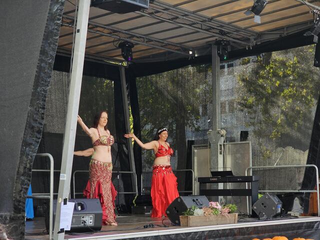 Darbietungen auf der Bühne am Rathausplatz | Foto: Gisela Böhmer