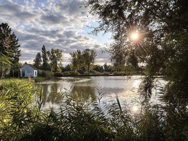 Das Septembermotiv zeigt die Abendstimmung am Backsteinweiher in Oggersheim von Diana Mayer | Foto: Diana Mayer
