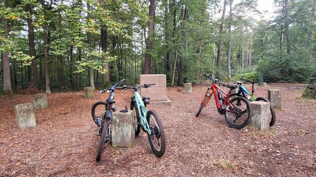 Am Gericht | Foto: S. Kopplin