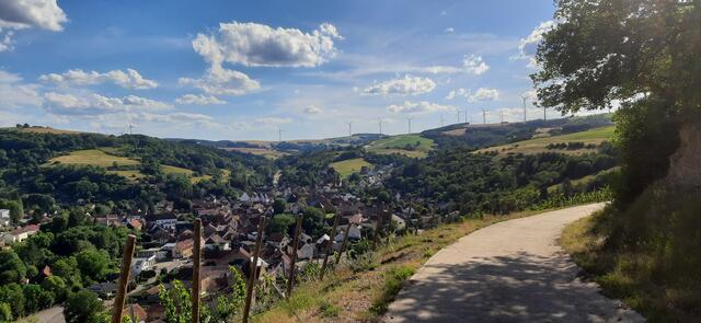 Blick vom Selberg auf die kleinste pfälzische Stadt Obermoschel | Foto: Arno Mohr