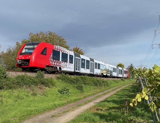 Der beklebte Triebwagen bei Asselheim | Foto: Zweckverband ÖPNV