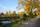 Herbststimmung auf dem Parkfriedhof Haßloch: Zeit der Ruhe für Mensch und Natur. | Foto: Faustmann