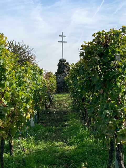 Kreuz in den Weinbergen | Foto: Ich