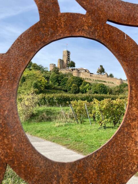 Schönste Weinsicht | Foto: Ich
