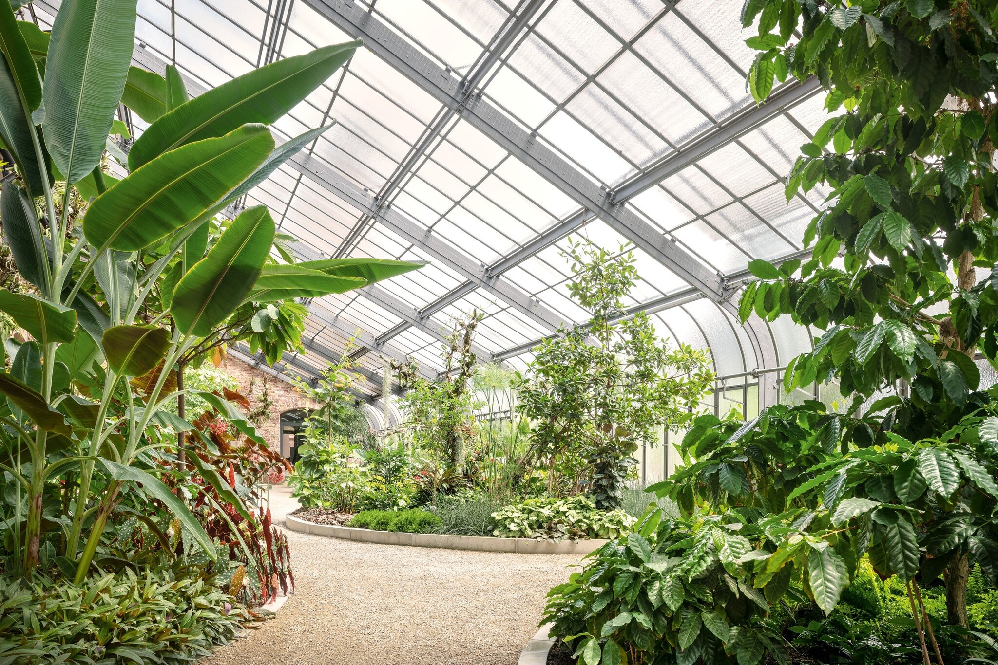 Grüne Oase inmitten der Stadt Sonderführung durch den Botanischen