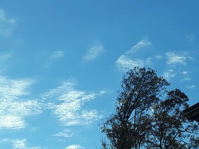 Foto: ELISABETH WEBER