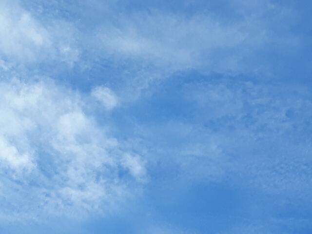 Foto: ELISABETH WEBER